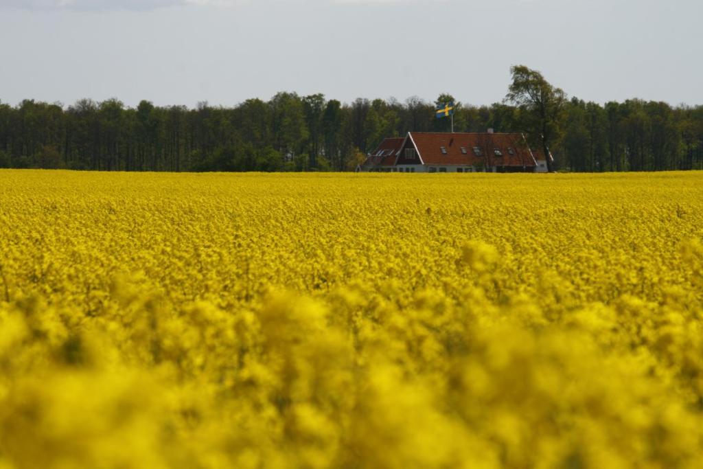 Hobykrok B&B Lund Exterior foto