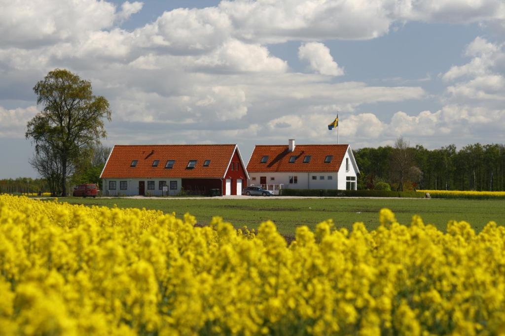 Hobykrok B&B Lund Exterior foto
