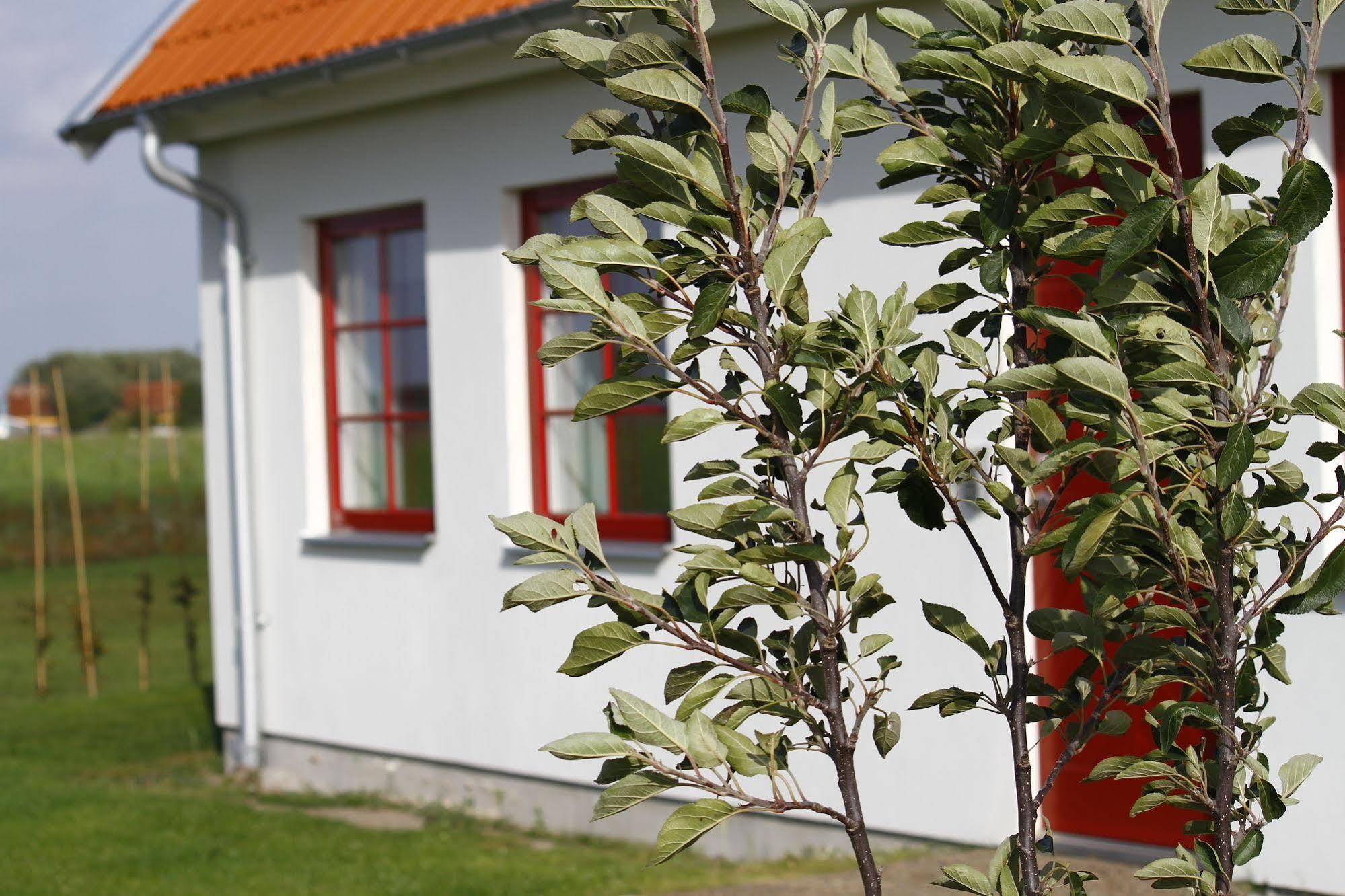 Hobykrok B&B Lund Exterior foto