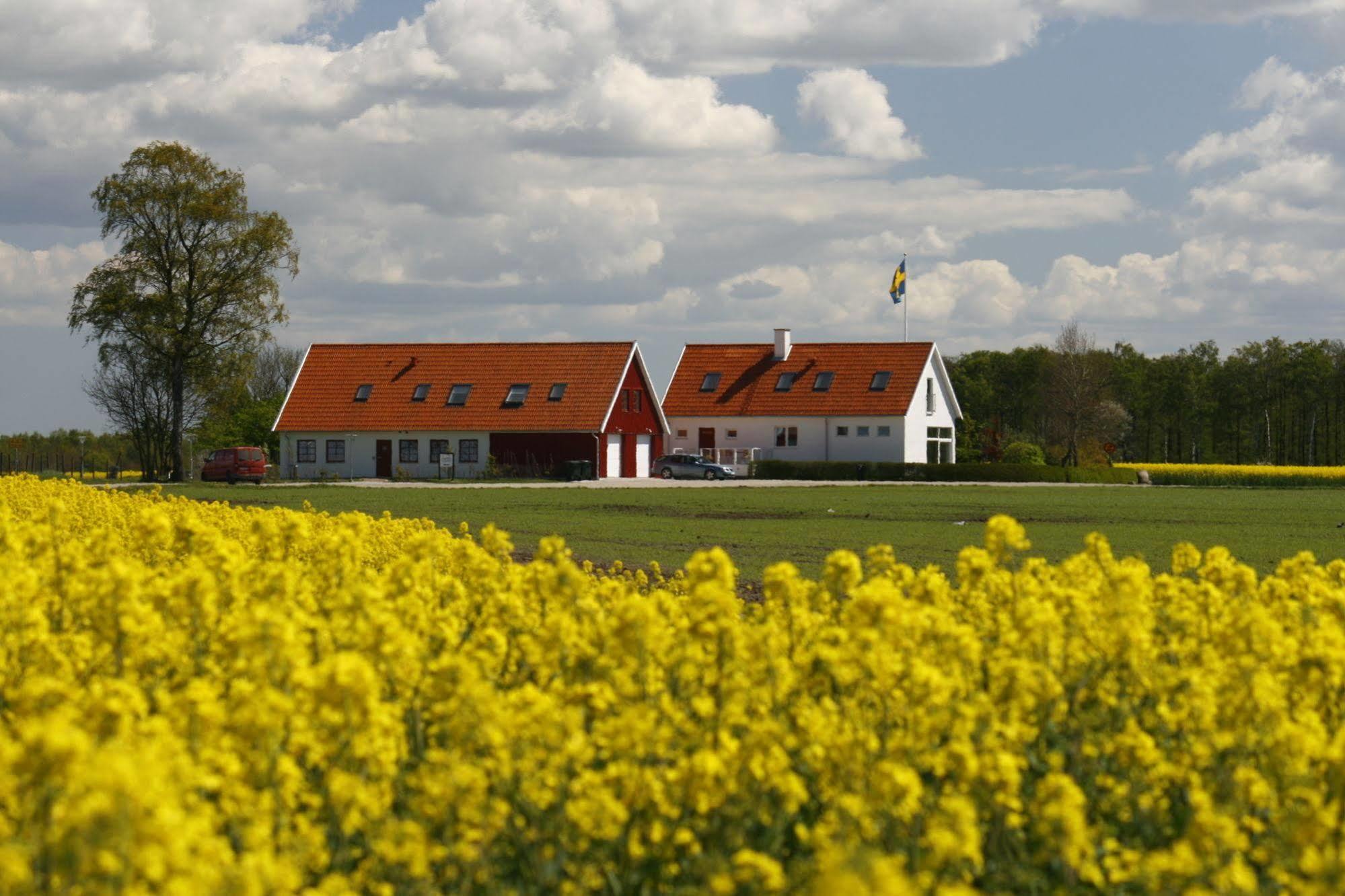 Hobykrok B&B Lund Exterior foto